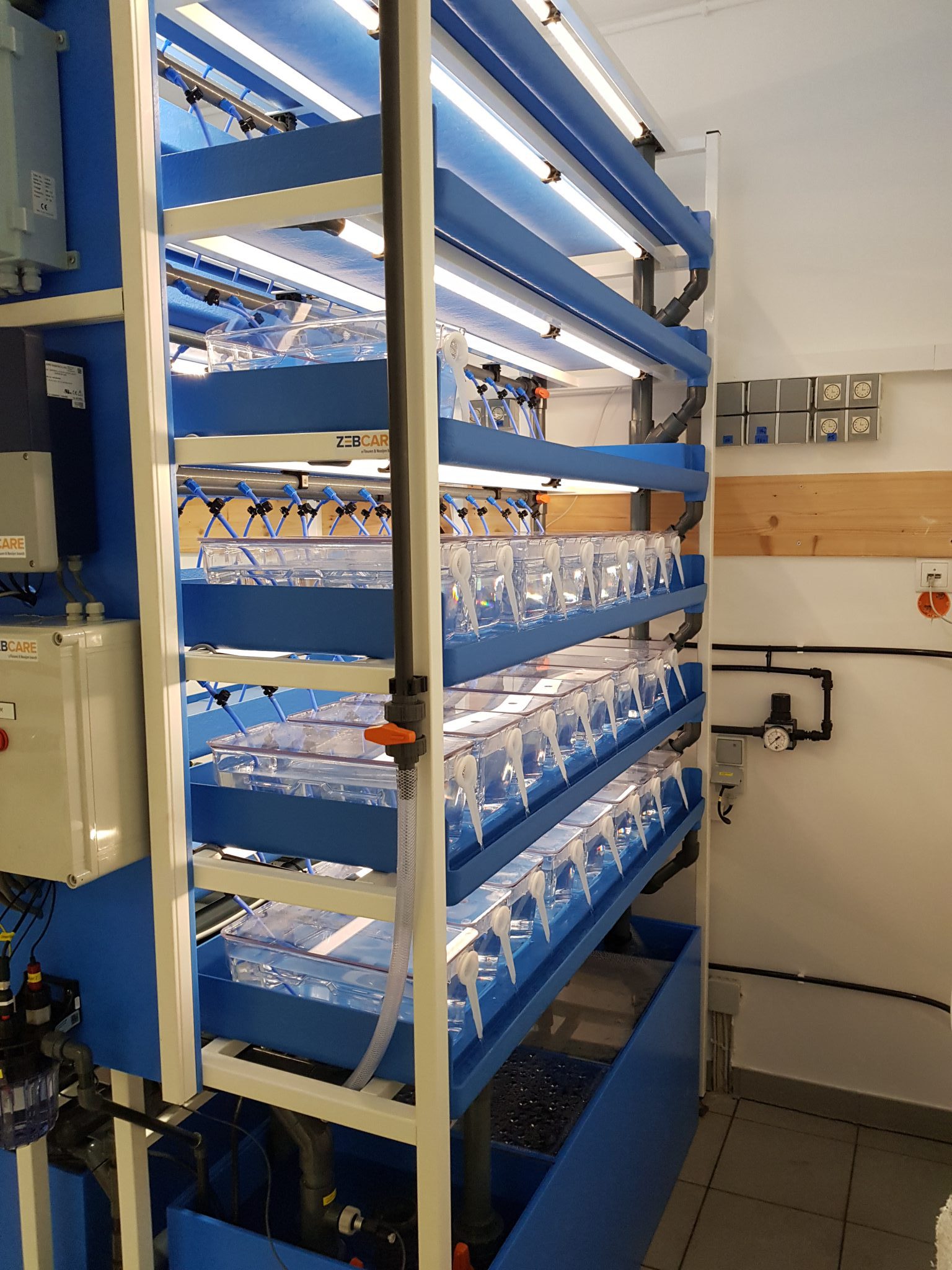 Standalone Zebrafish husbandry system delivered in Germany Zebcare